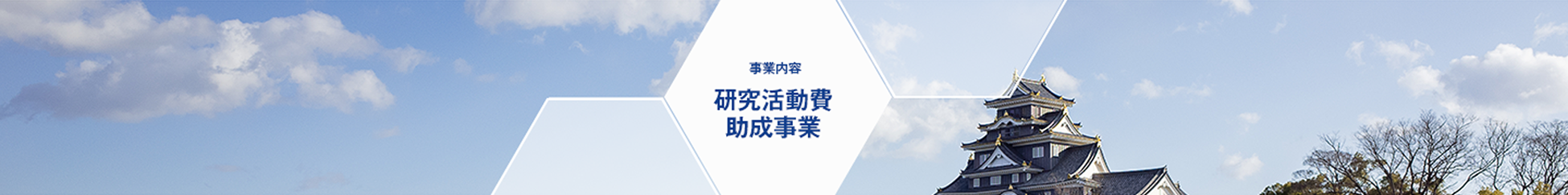 事業内容 研究活動費助成事業