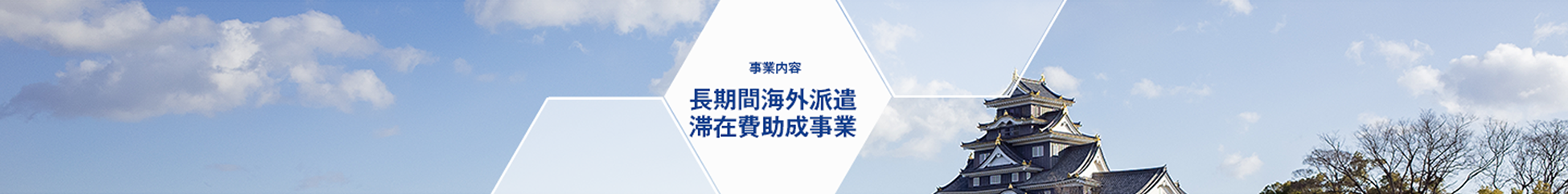 事業内容 長期間海外派遣滞在費助成事業