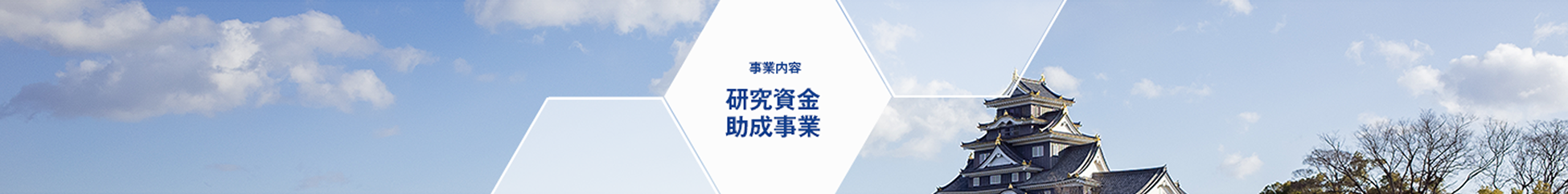 事業内容 研究資金助成事業