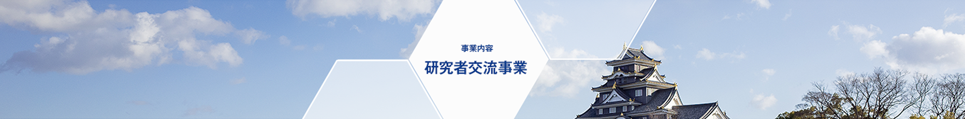 事業内容 研究者交流事業