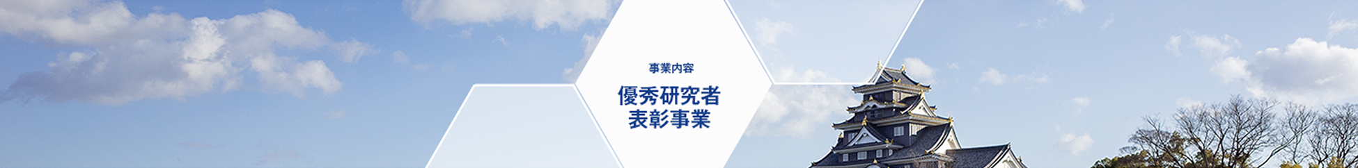 事業内容 優秀研究者表彰事業