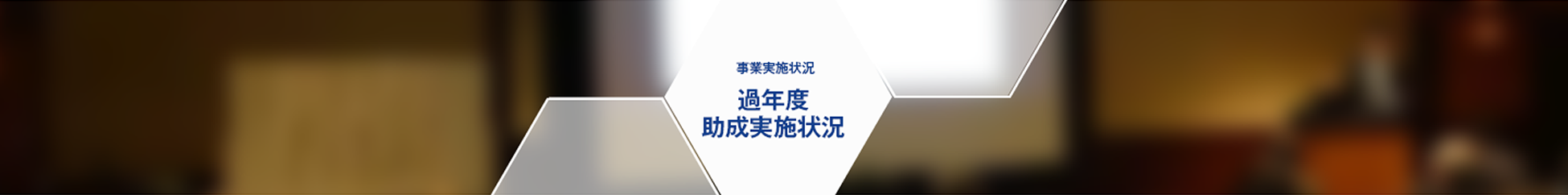 事業実施状況 過年度助成実施状況