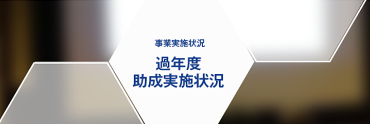 事業実施状況 過年度助成実施状況