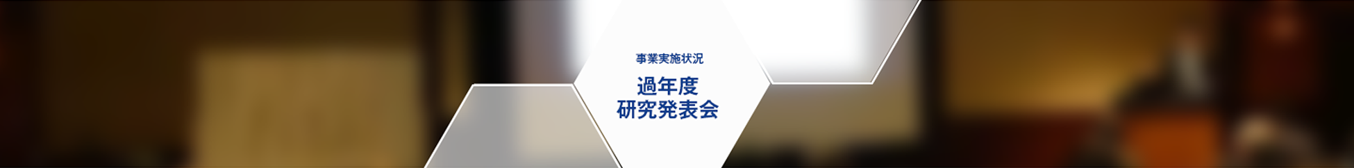 事業実施状況 過年度研究発表会