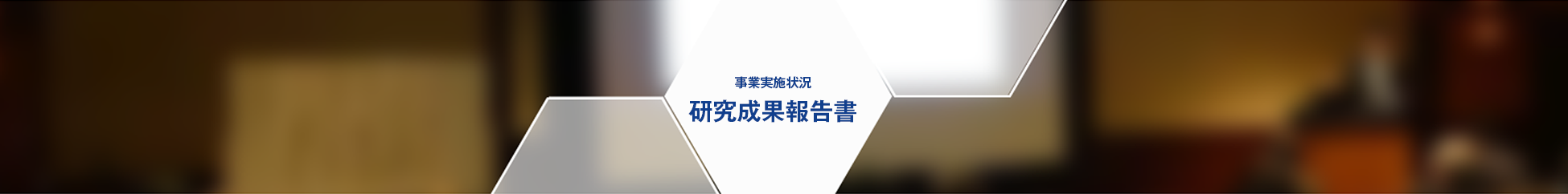 事業実施状況 研究成果報告書